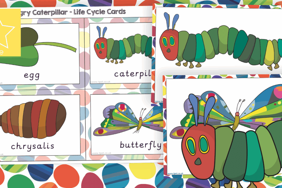 Teacher 39 s Pet The Very Hungry Caterpillar Life Cycle Cards