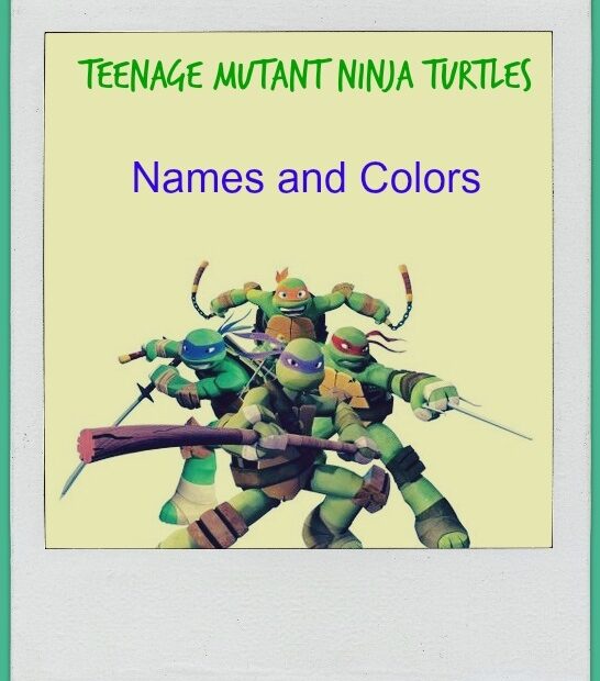 Teenage Mutant Ninja Turtle 39 s Names Blue Purple Red Orange Player
