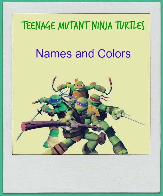 Teenage Mutant Ninja Turtle 39 s Names Blue Purple Red Orange Player Teenage Mutant Ninja Turtle 39 s Names Blue Purple Red Orange Player