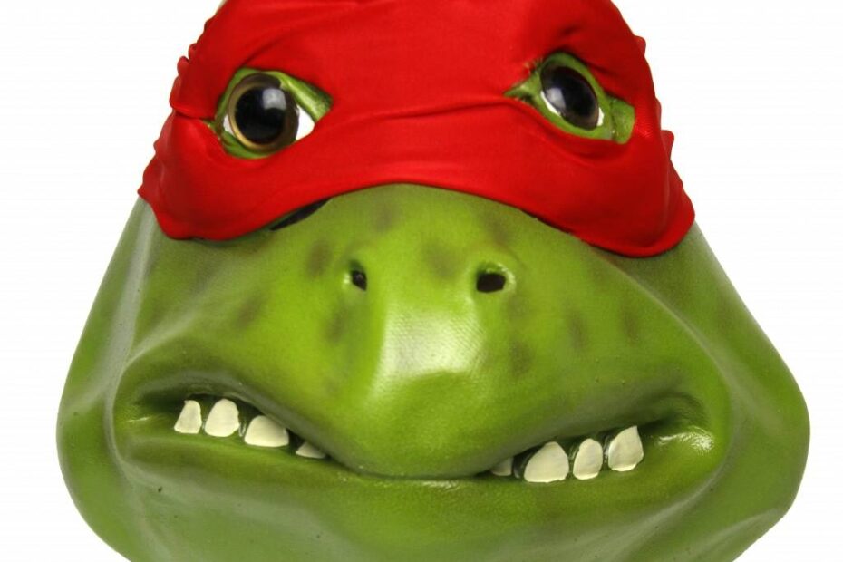 Teenage Mutant Ninja Turtle Mask red 39 Raphael 39 MisterMask nl