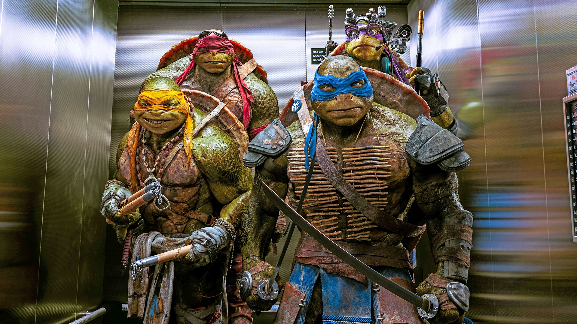 Teenage Mutant Ninja Turtles Names Michelangelo 1920x1080 Wallpaper 