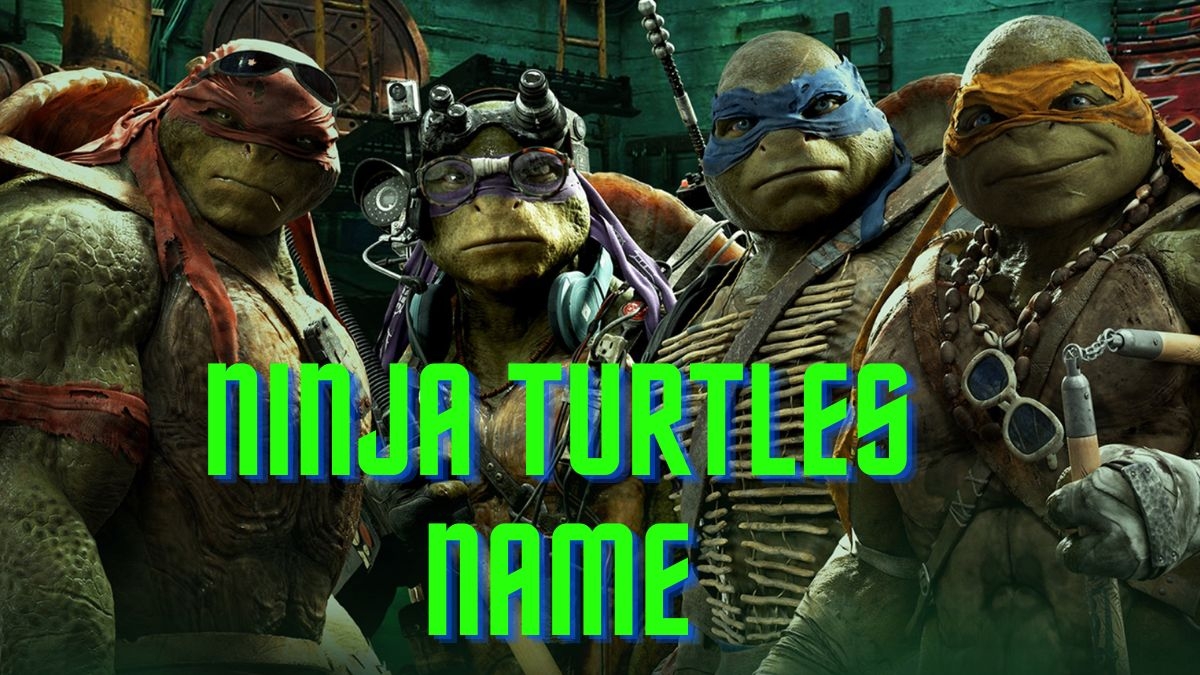 4 Ninja Turtles Names 4 Ninja Turtles Names