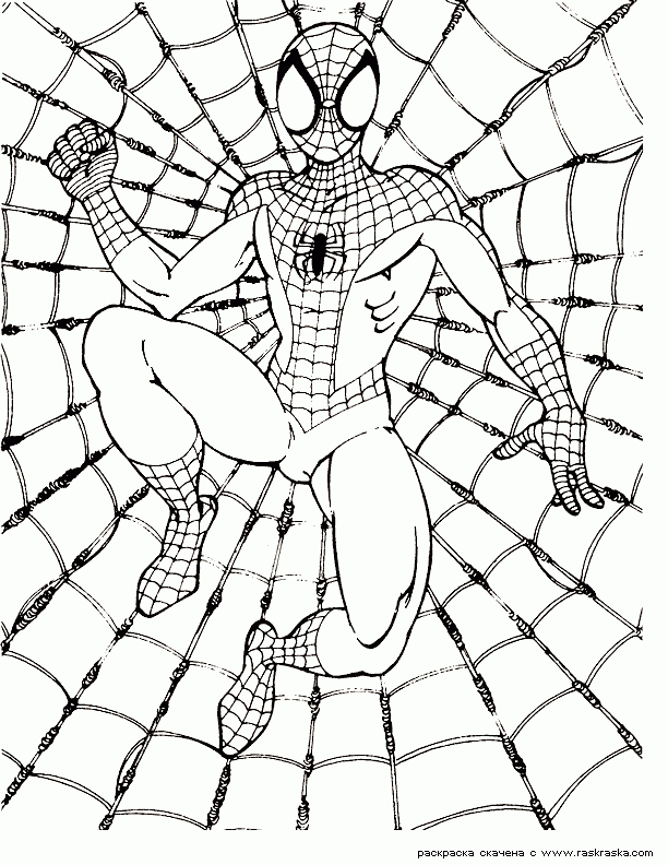 The Amazing Spider Man Color Pages Fresh Coloring Pages The Amazing Spider Man Color Pages Fresh Coloring Pages