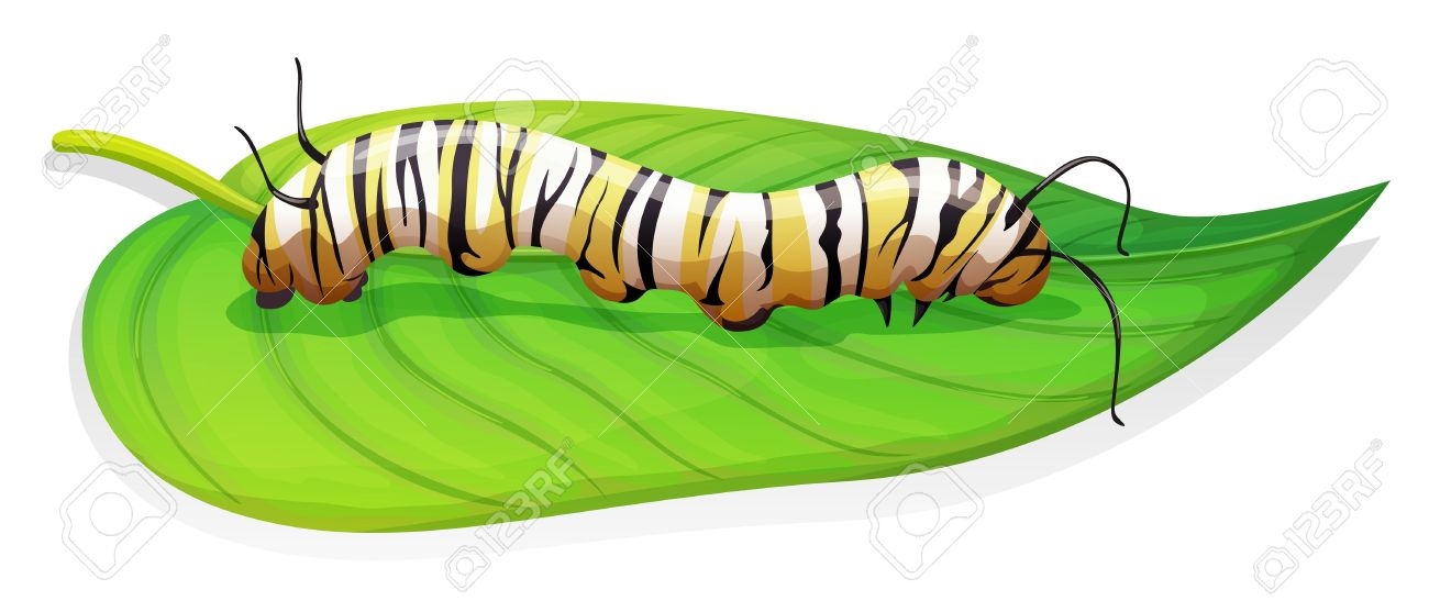 The Butterfly Larva Clipart 20 Free Cliparts Download Images On The Butterfly Larva Clipart 20 Free Cliparts Download Images On