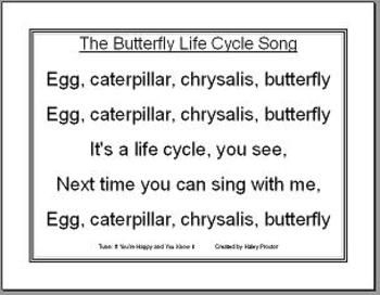 The Butterfly Life Cycle Song Is Written In Black And White With An Egg The Butterfly Life Cycle Song Is Written In Black And White With An Egg