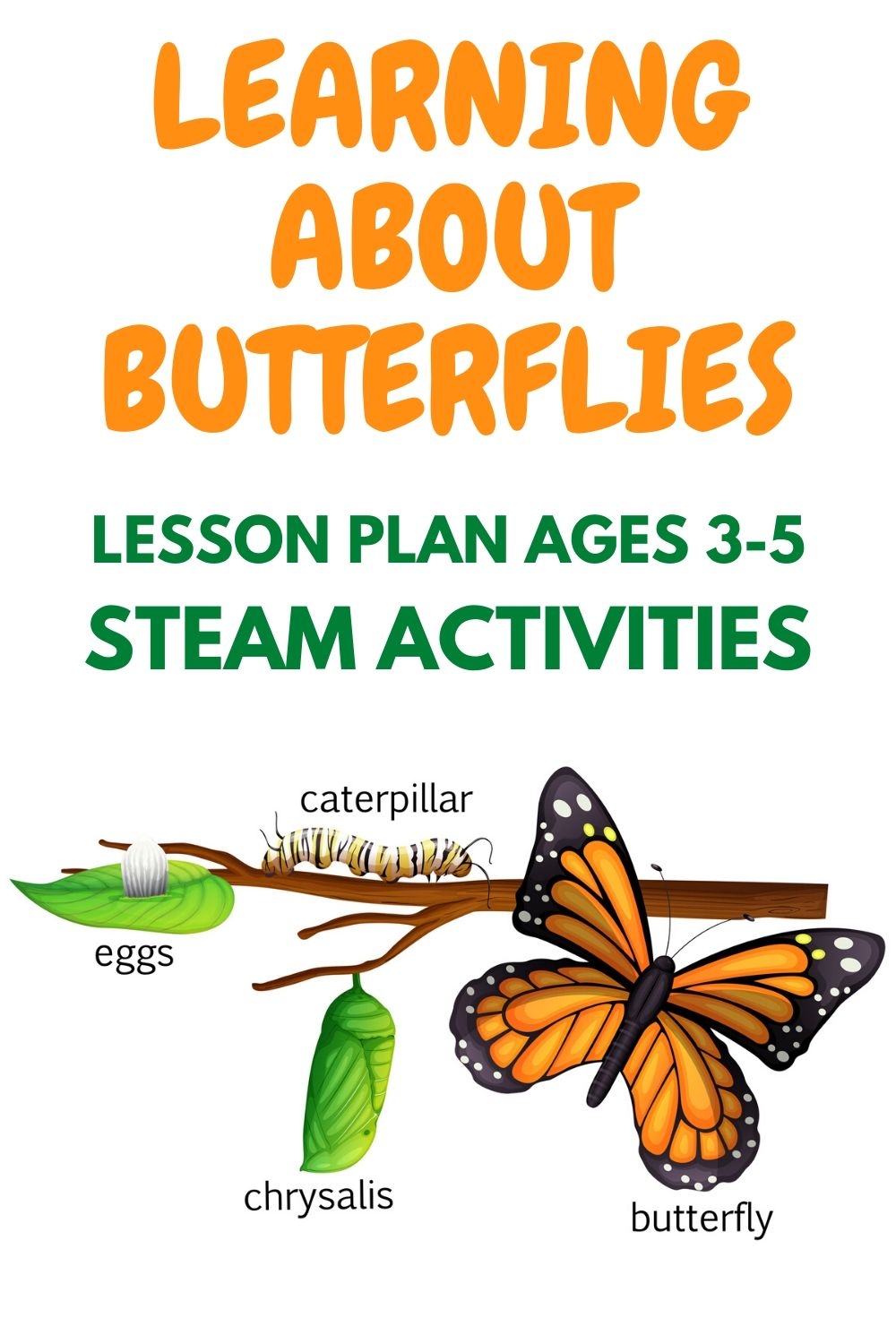 The Life Cycle Of A Butterfly Lesson Plan Source 52 OFF The Life Cycle Of A Butterfly Lesson Plan Source 52 OFF