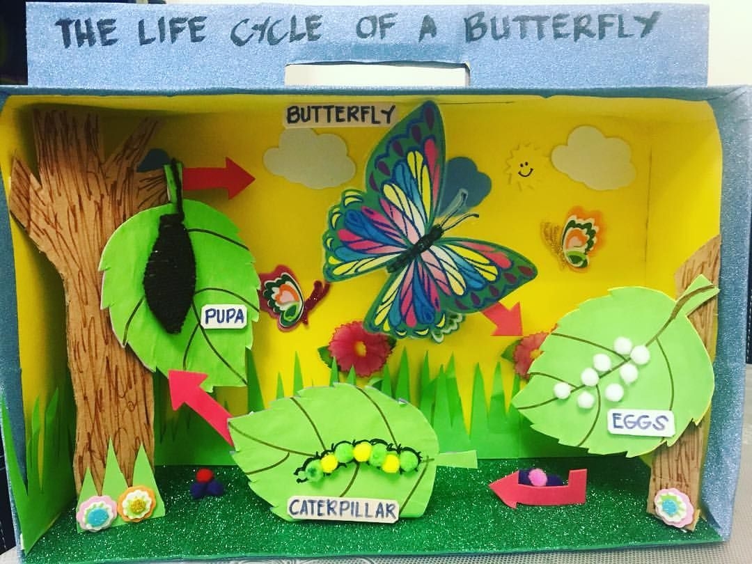 The Life Cycle Of A BUTTERFLY parentofapreschooler projects The Life Cycle Of A BUTTERFLY parentofapreschooler projects
