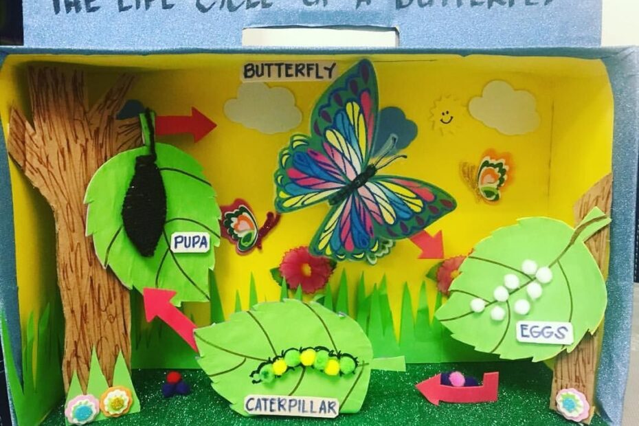 The Life Cycle Of A BUTTERFLY parentofapreschooler projects