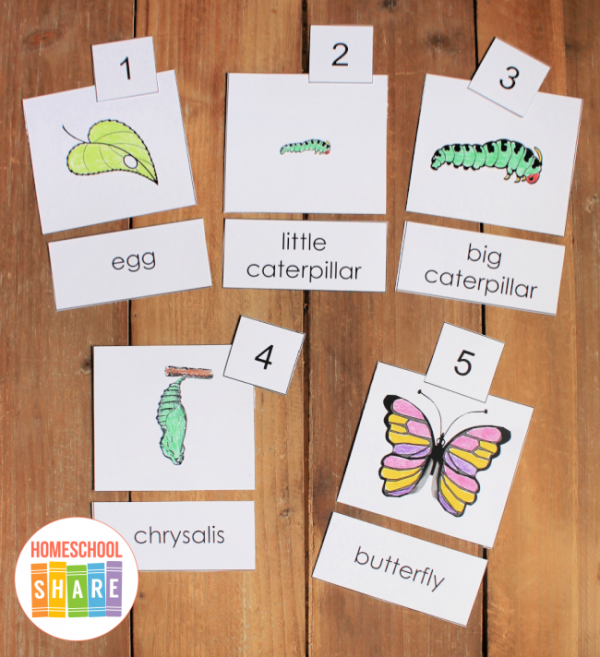 The Very Hungry Caterpillar Printables Homeschool Share The Very Hungry Caterpillar Printables Homeschool Share