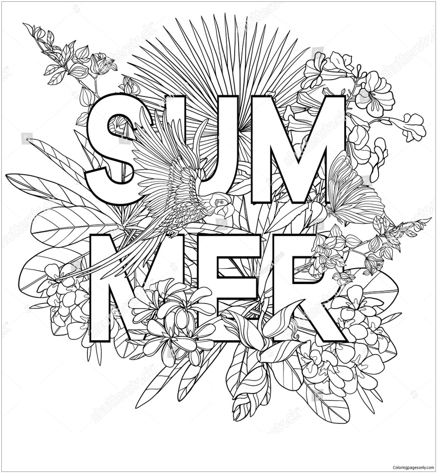 summer coloring sheets for adults summer coloring sheets for adults