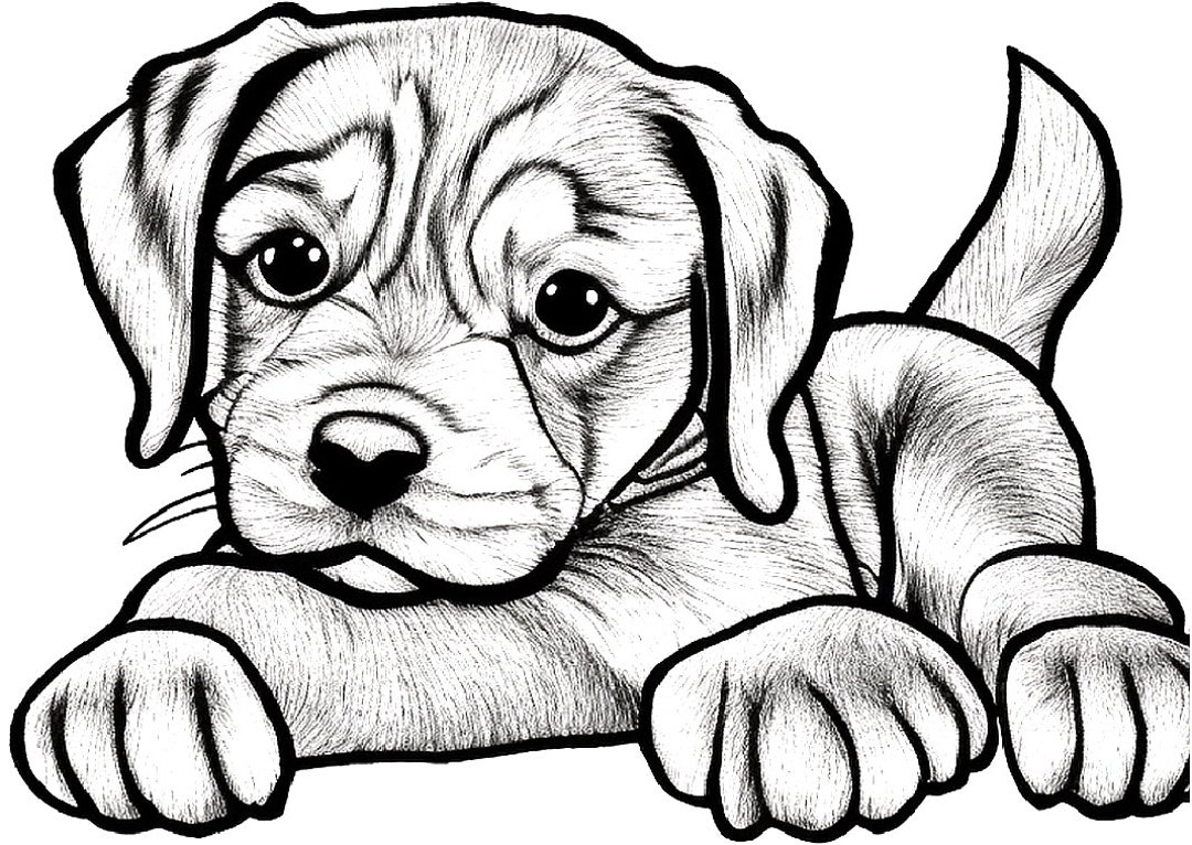 This Item Is Unavailable Etsy This Item Is Unavailable Etsy