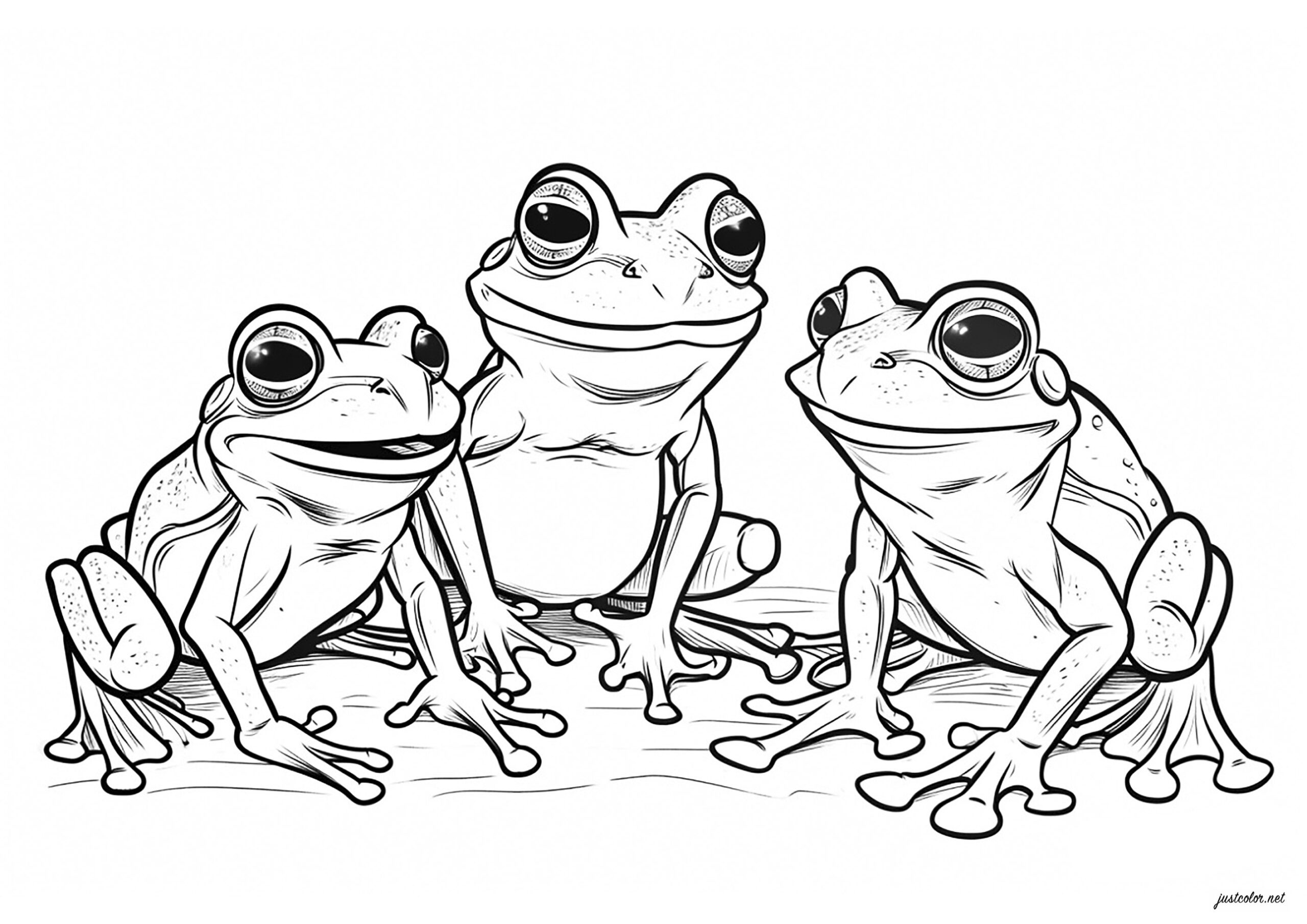 Three Beautiful Frogs Frog Coloring Pages Three Beautiful Frogs Frog Coloring Pages