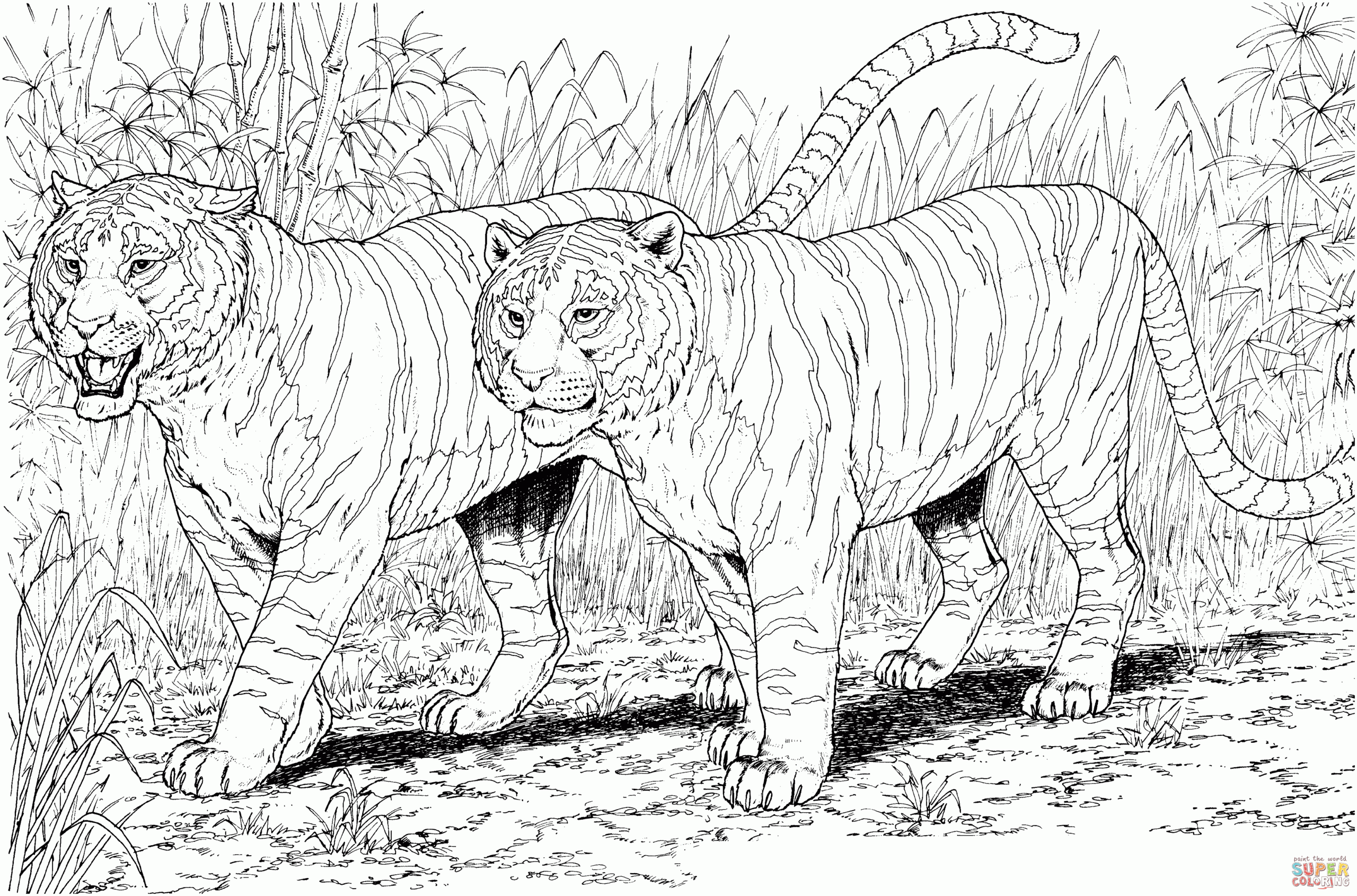 Tiger Printable Coloring Pages Coloring Home Tiger Printable Coloring Pages Coloring Home