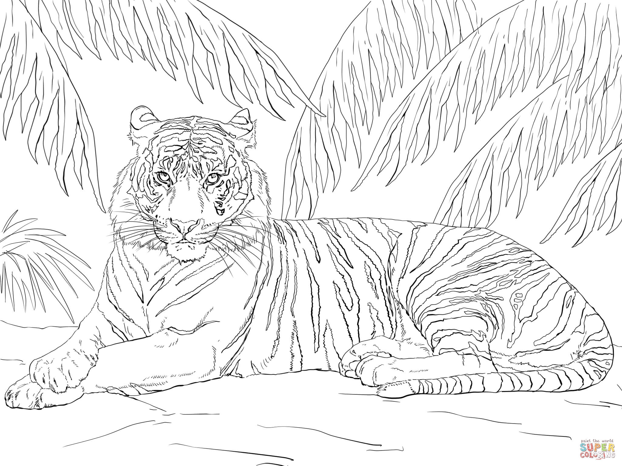 Tiger Printable Coloring Pages Coloring Home Tiger Printable Coloring Pages Coloring Home