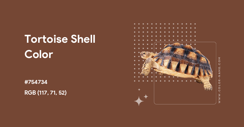 Tortoise Shell Color Hex Code Is 754734