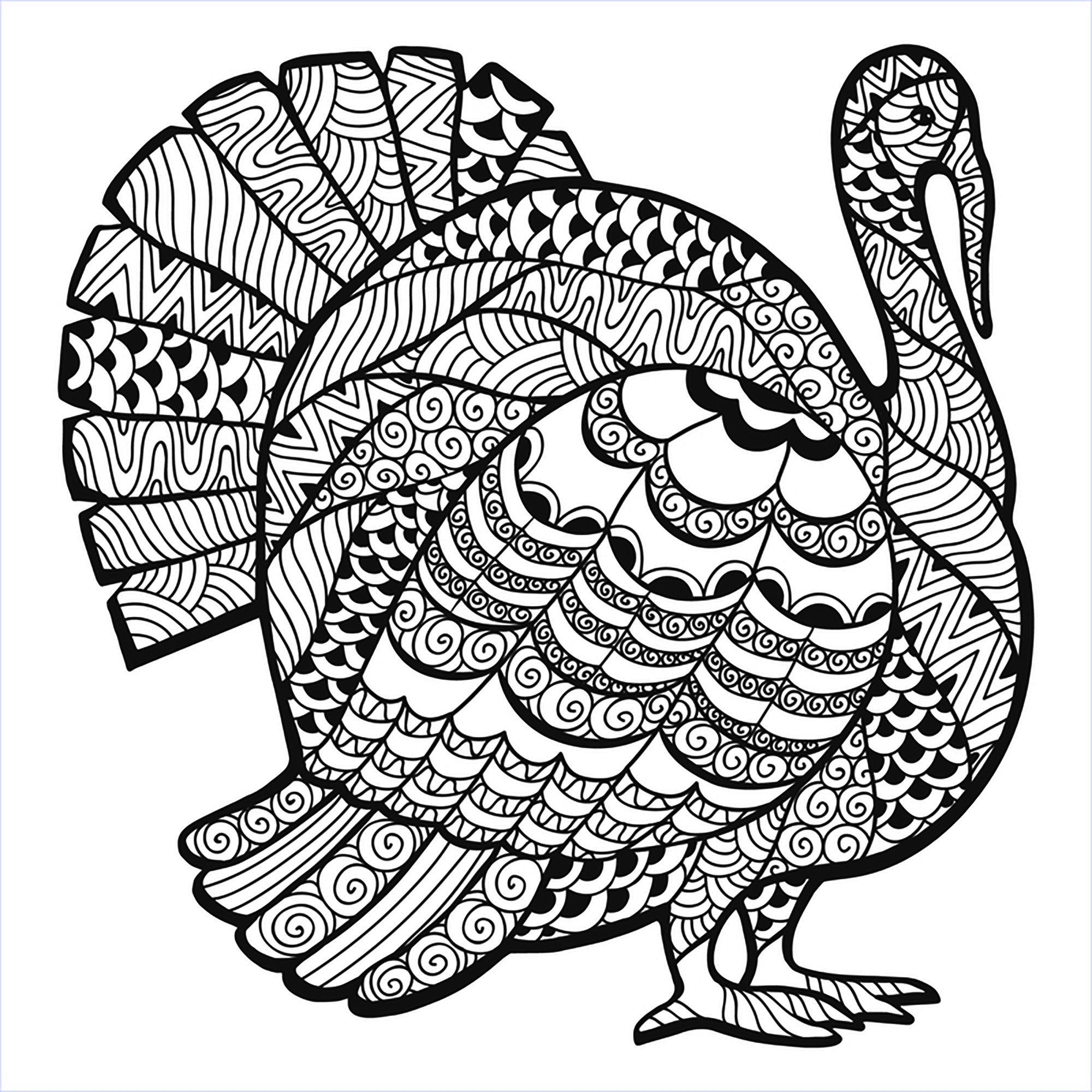 Turkey Zentangle Coloring Sheet Thanksgiving Adult Coloring Pages Turkey Zentangle Coloring Sheet Thanksgiving Adult Coloring Pages