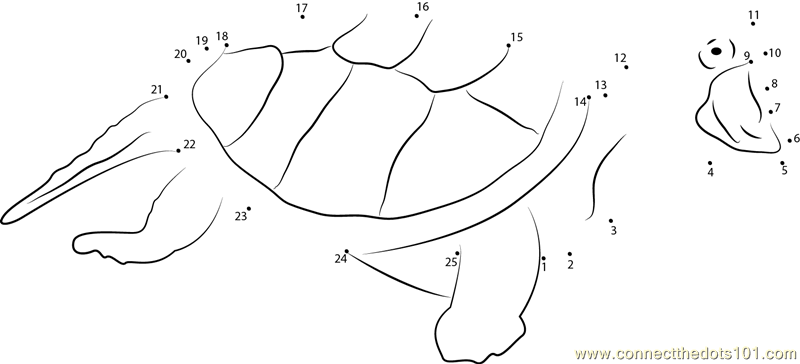 Turtle Attacking Dot To Dot Printable Worksheet Connect The Dots Turtle Attacking Dot To Dot Printable Worksheet Connect The Dots