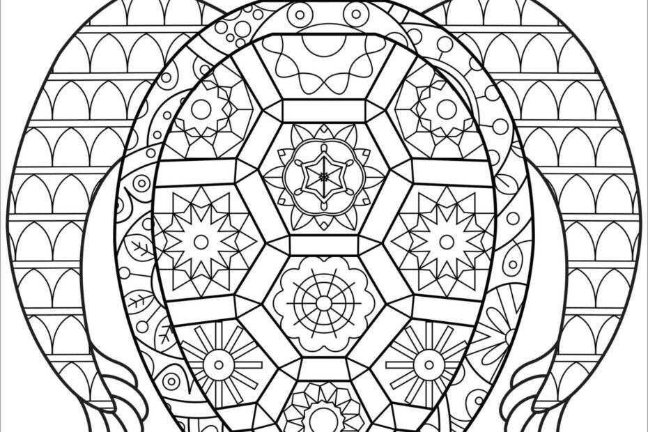Turtle Coloring Page For Adult ColoringBay