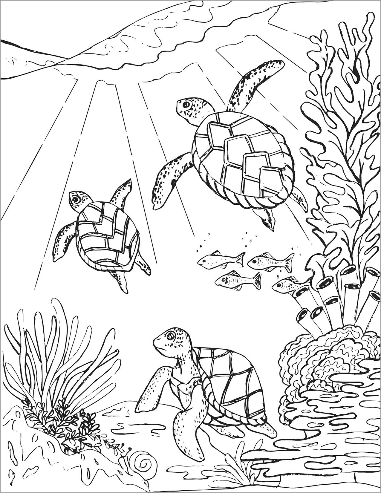 turtle coloring pages for adults turtle coloring pages for adults