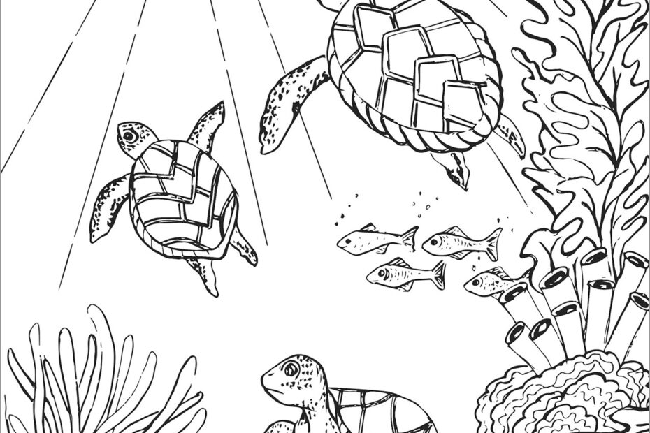 Turtle Coloring Pages ColoringBay
