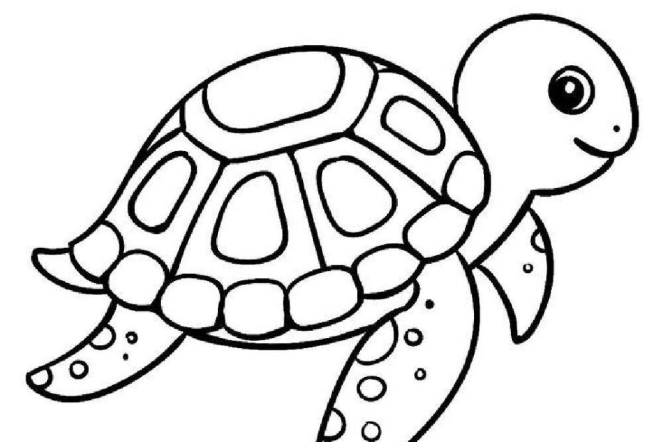 Turtle Coloring Pages Free Printable PDF
