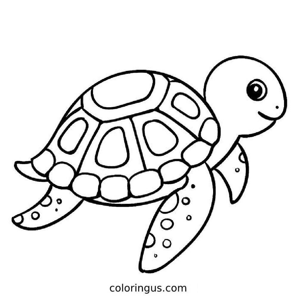 turtle coloring sheet printable turtle coloring sheet printable