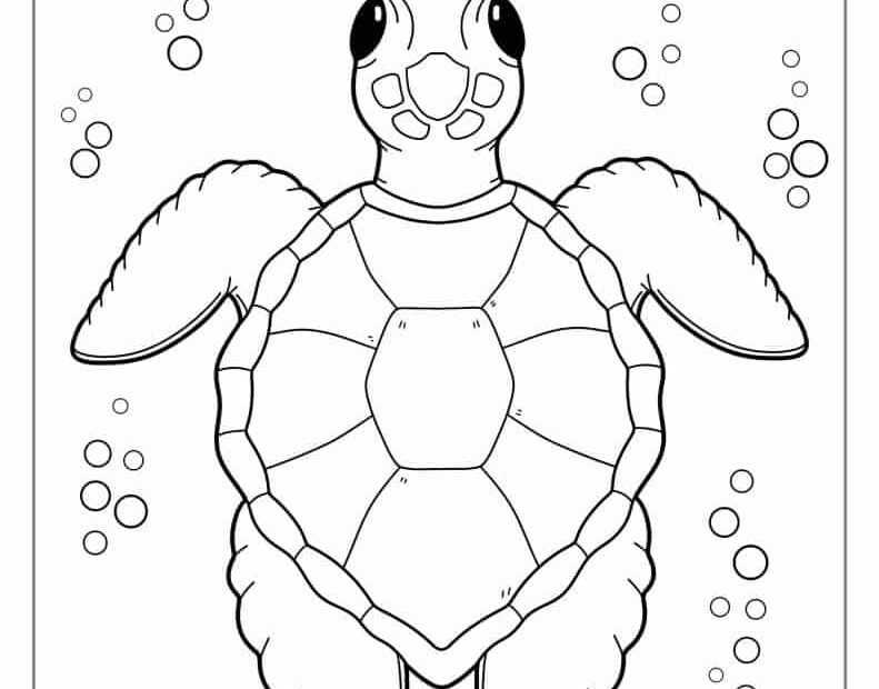 Turtle Coloring Pages Free Printable Sheets For Kids Skip 40 OFF