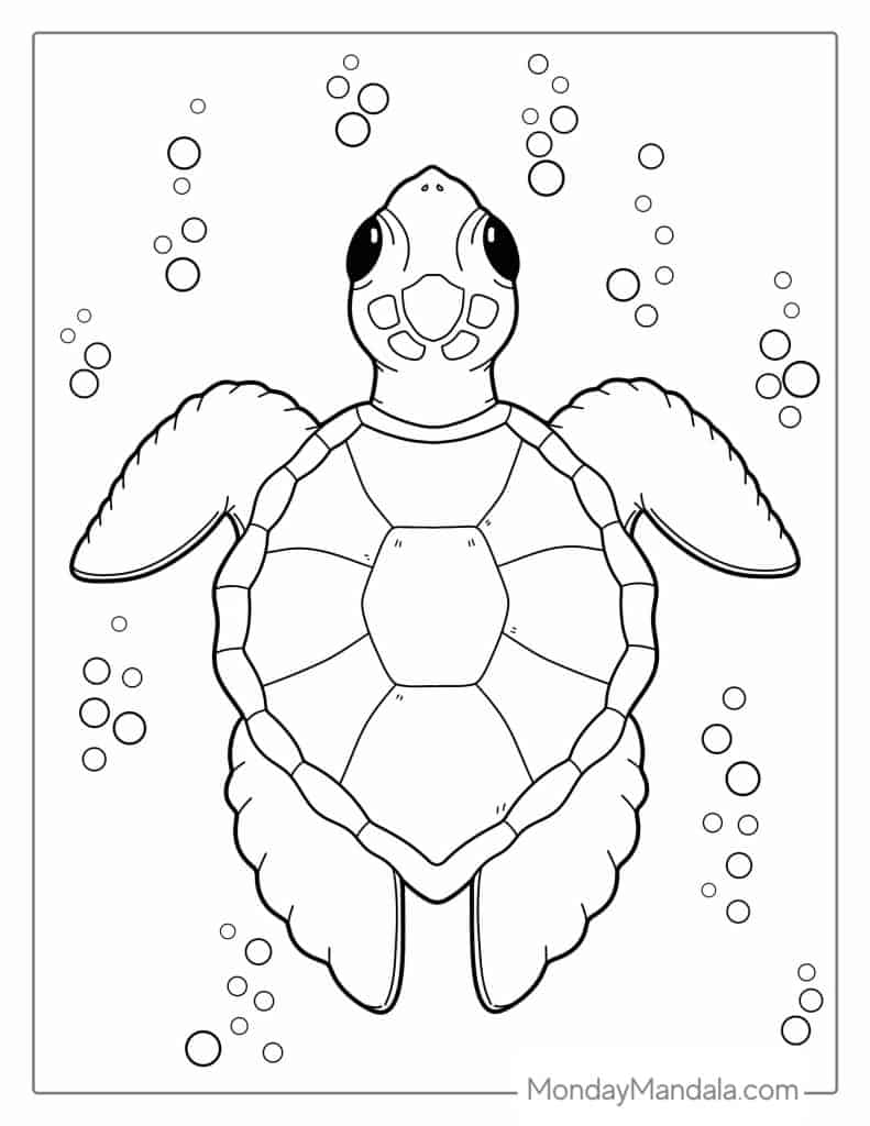 Turtle Coloring Pages Free Printable Sheets For Kids Skip 40 OFF Turtle Coloring Pages Free Printable Sheets For Kids Skip 40 OFF