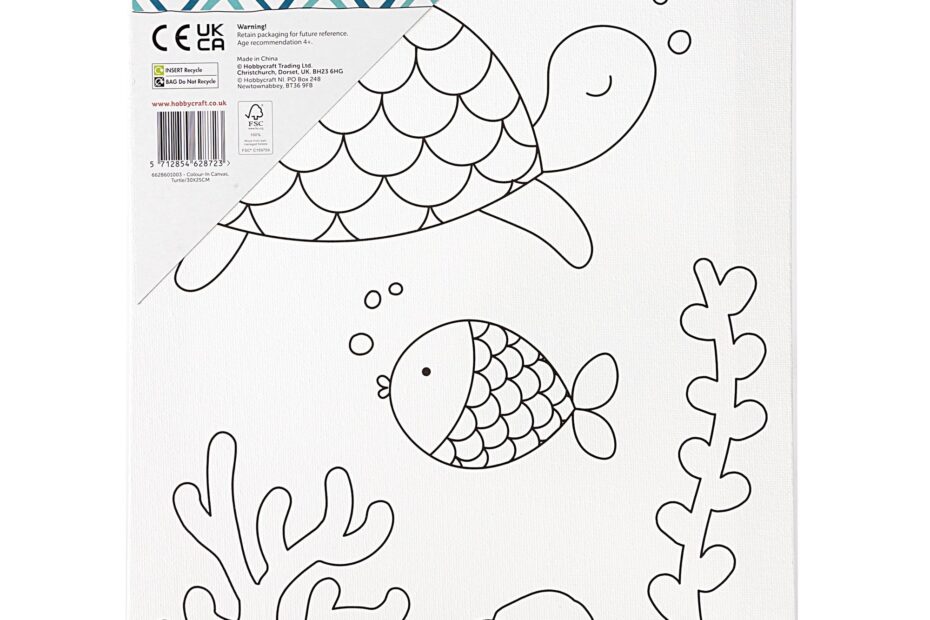 Turtle Colour in Canvas Hobbycraft
