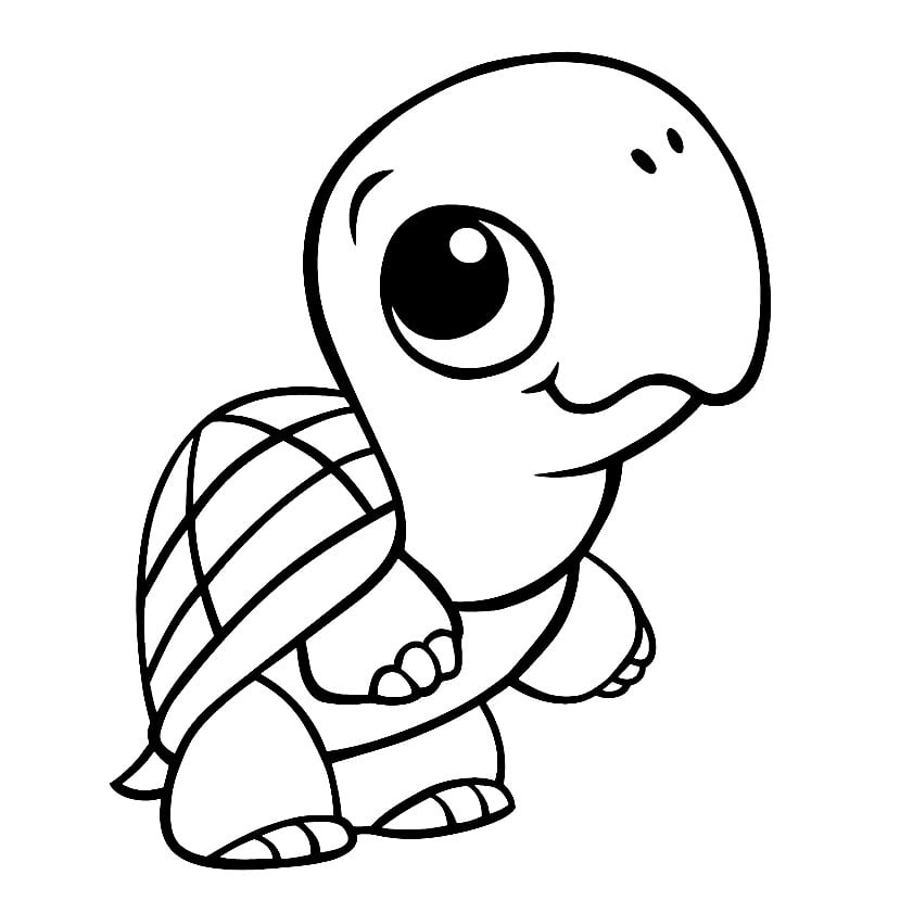 Turtle Image To Print And Color Turtle Coloring Pages For Kids Turtle Image To Print And Color Turtle Coloring Pages For Kids