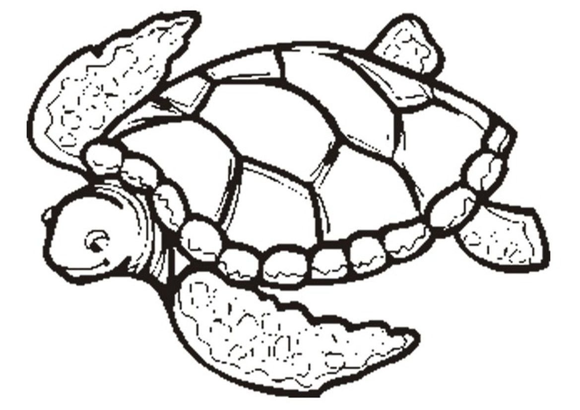 Turtle Printable Coloring Pages Coloring Print Turtle Printable Coloring Pages Coloring Print
