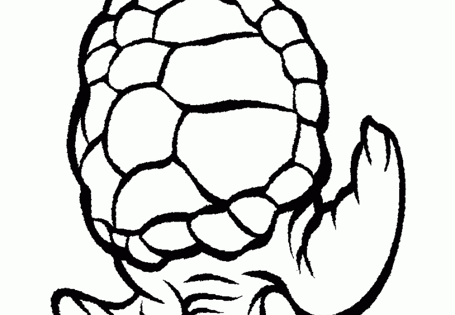 Turtle Sea Animals Colouring Pages COLORING PAGES PRINTABLE COM