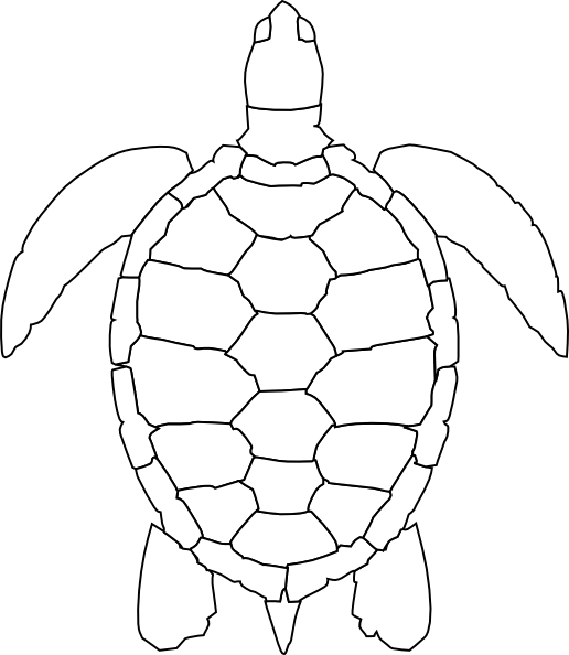 Turtle Shell Clip Art Cliparts co Turtle Shell Clip Art Cliparts co