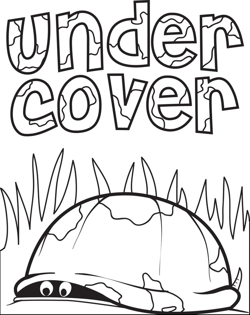 Turtle Shell Coloring Page At GetColorings Free Printable Turtle Shell Coloring Page At GetColorings Free Printable