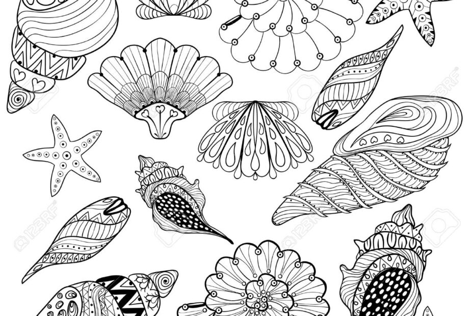 Turtle Shell Coloring Page At GetColorings Free Printable