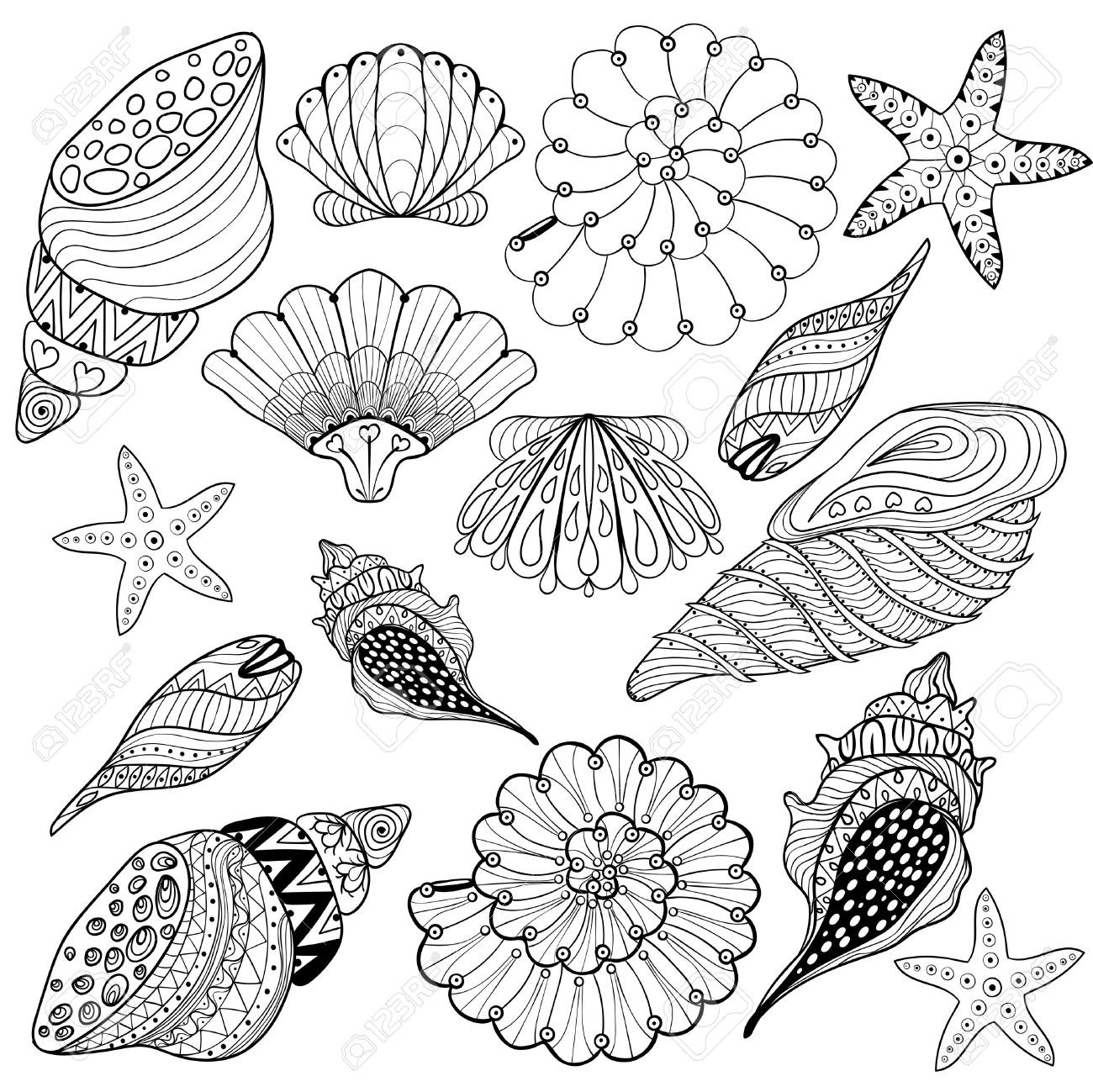 Turtle Shell Coloring Page At GetColorings Free Printable Turtle Shell Coloring Page At GetColorings Free Printable