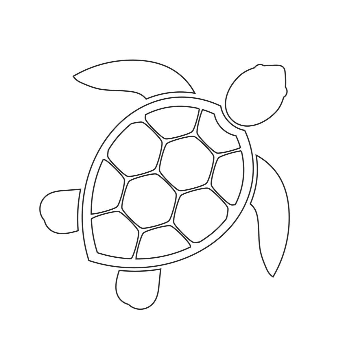 Turtle Template Free Printable Turtle Template Free Printable