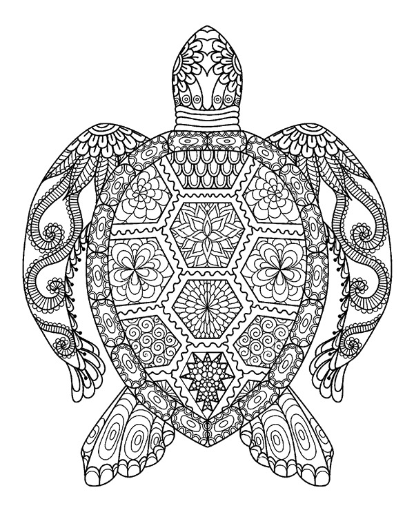 Turtle Tortoise Free Printable Coloring Page For Adults Turtle Tortoise Free Printable Coloring Page For Adults