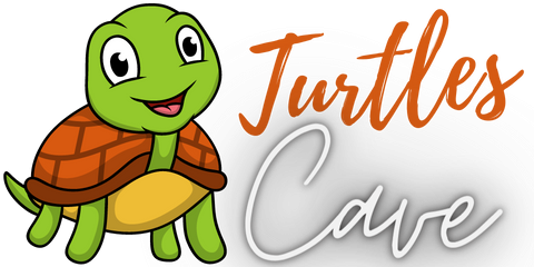 Uncovering The Reasons For Turtles Attacking Black Shoes And Hating Uncovering The Reasons For Turtles Attacking Black Shoes And Hating