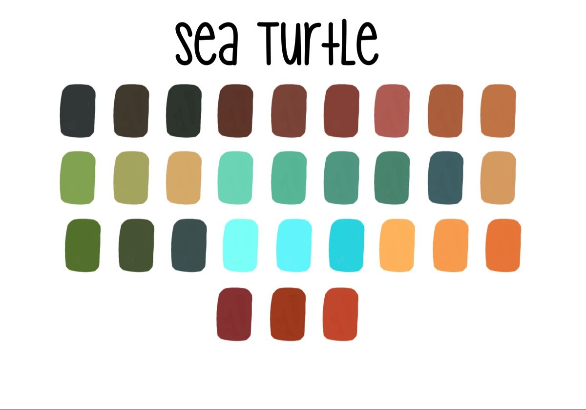 Vibrant Sea Turtle Colors Vibrant Sea Turtle Colors