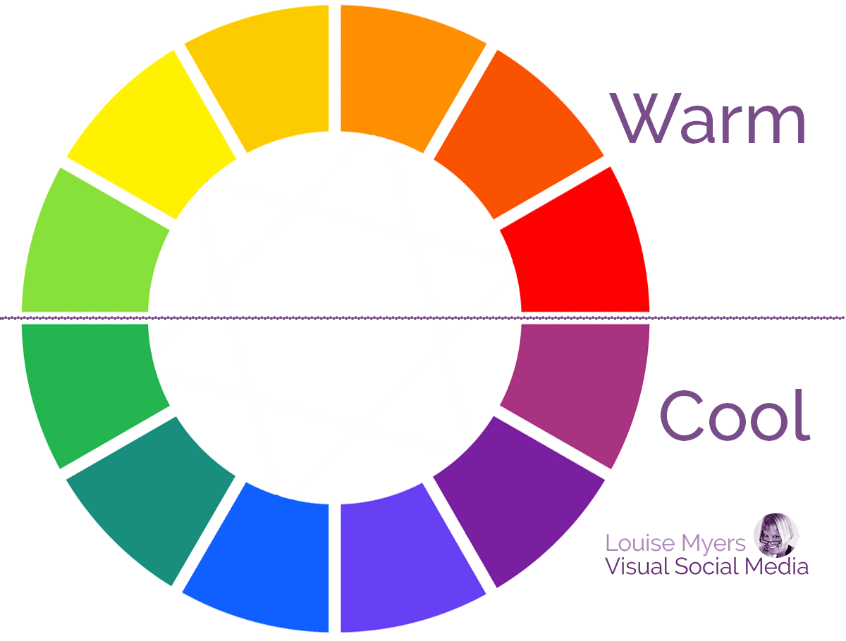 animals with cool colors animals with cool colors