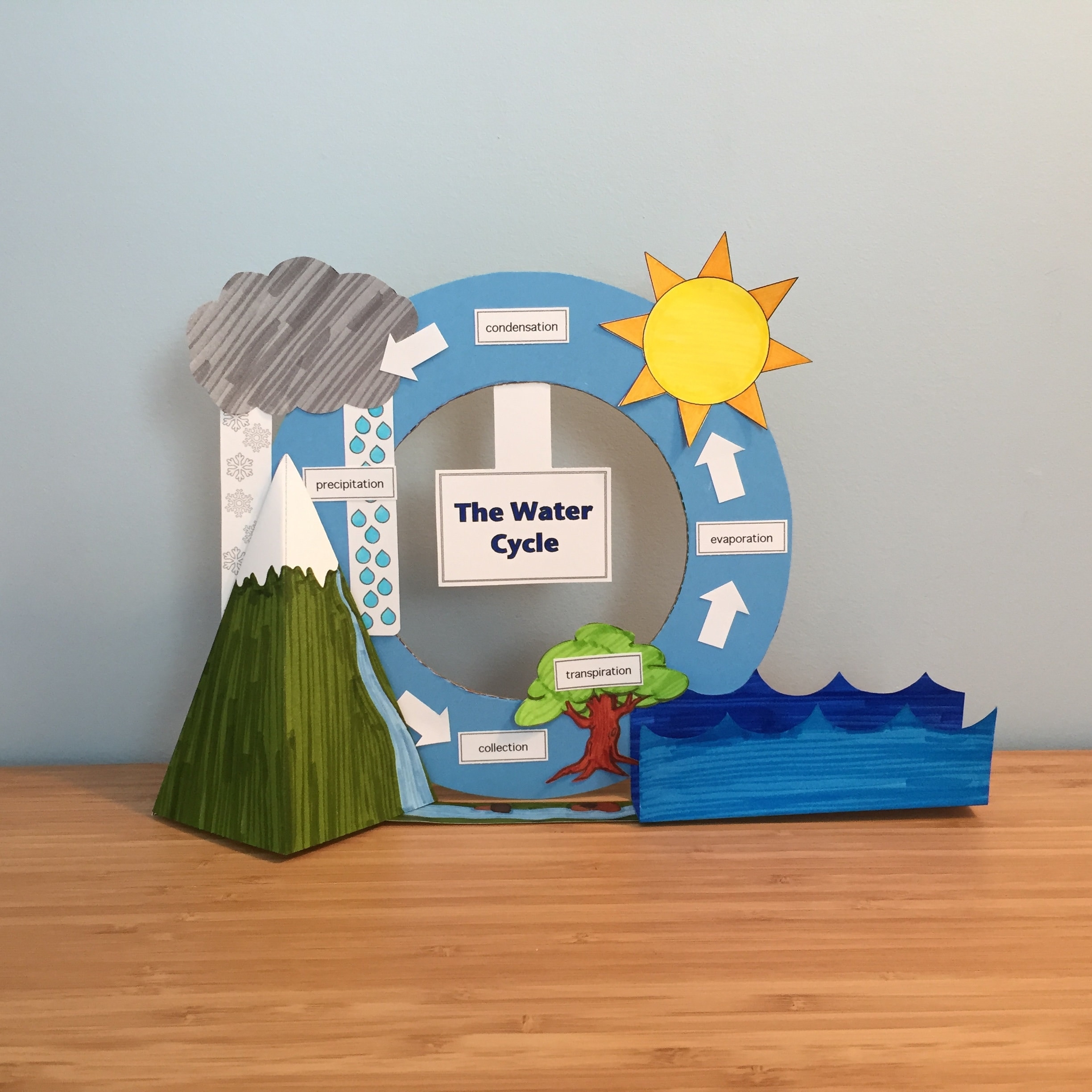 Water Cycle Model For Kids Water Cycle Model For Kids