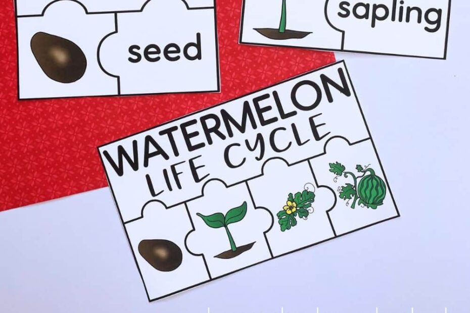 Watermelon Life Cycle Puzzles Free Homeschool Deals
