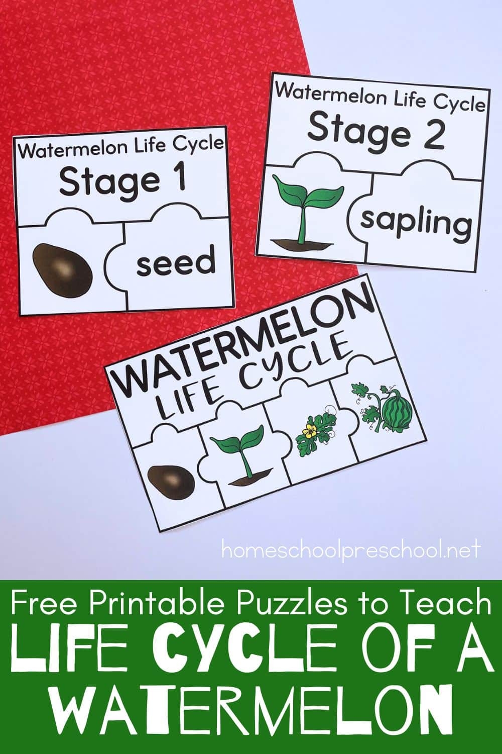 Watermelon Life Cycle Puzzles Free Homeschool Deals Watermelon Life Cycle Puzzles Free Homeschool Deals