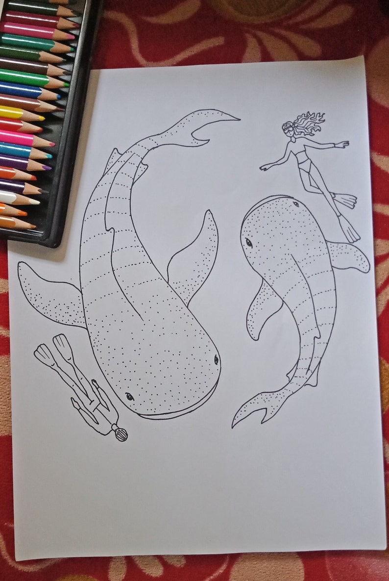 shark coloring sheet printable