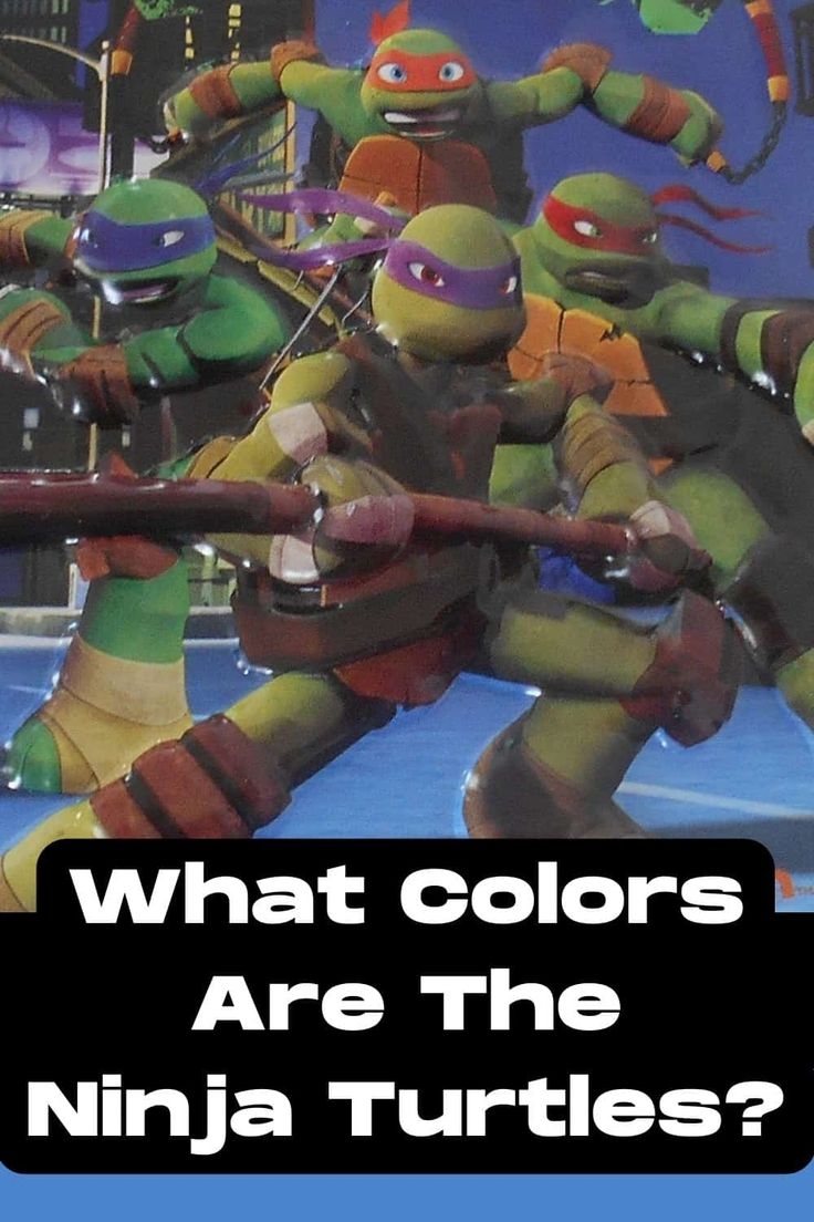 What Colors Are The Teenage Mutant Ninja Turtles TMNT Names And What Colors Are The Teenage Mutant Ninja Turtles TMNT Names And