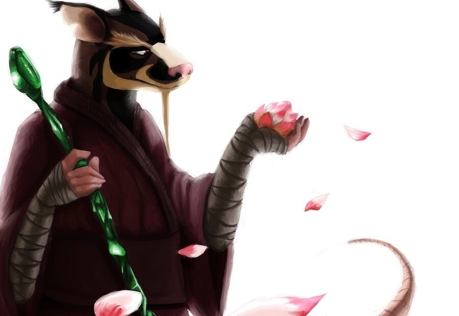 What Is The Real Name Of Master Splinter Poll Results TMNT 2012 Fanpop