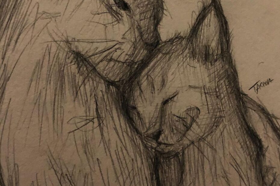 Whimsical Pencil Drawing Of Two Cats