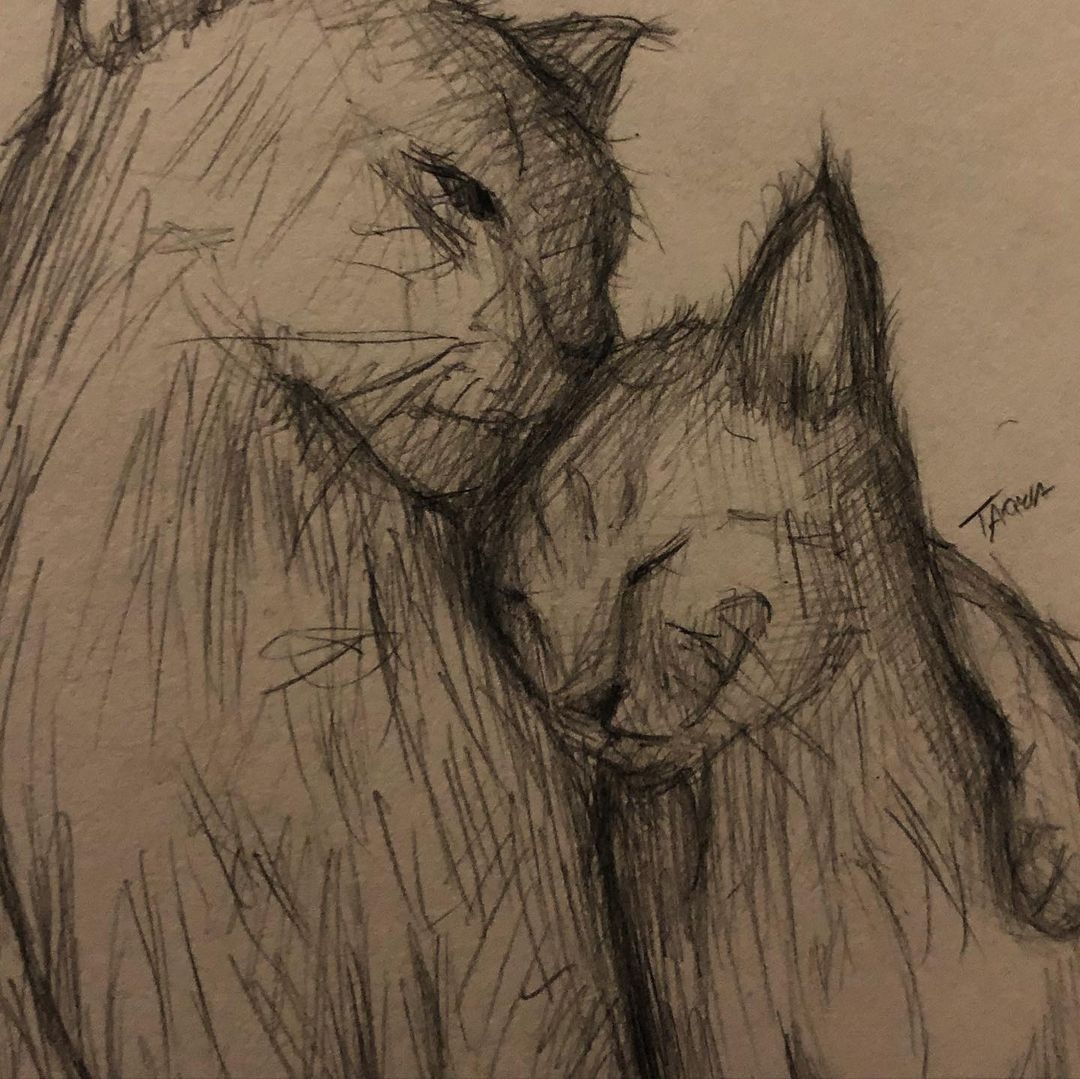 Whimsical Pencil Drawing Of Two Cats Whimsical Pencil Drawing Of Two Cats