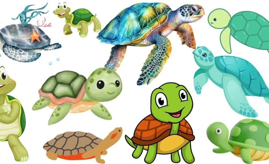 Why Do Turtles Attack Black All Turtles